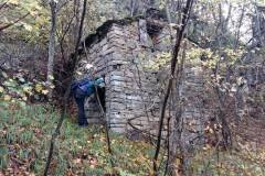 Un rudere nel bosco